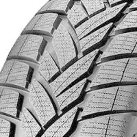 Dunlop Grandtrek WT M3 (235/65 R18 110H)