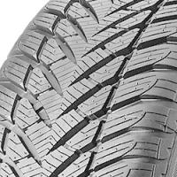 Goodyear Eagle UltraGrip GW-3 ROF (225/45 R17 91H)