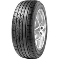 Minerva Ice Plus S110 (225/75 R16 121R)