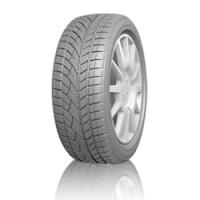 Evergreen EW66 (205/55 R17 95H)