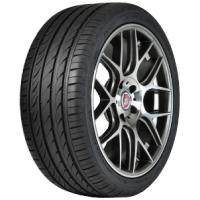 Delinte DH2 (205/55 R16 91V)