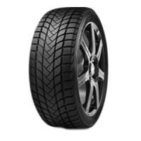 Delinte WD6 (195/55 R16 87H)