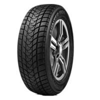 Delinte WD1 (225/45 R17 94V)