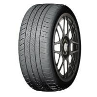 Autogrip P308 Plus (195/60 R15 88H)