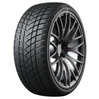 GT Radial WinterPro2 Sport (225/45 R17 94V)