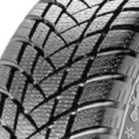 GT Radial Champiro Winterpro 2 (215/50 R17 95V)