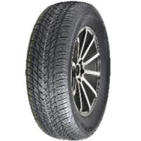 Royal Black Winter HP (165/70 R14 85T)